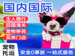 长治空运公司国际宠物托运 【国